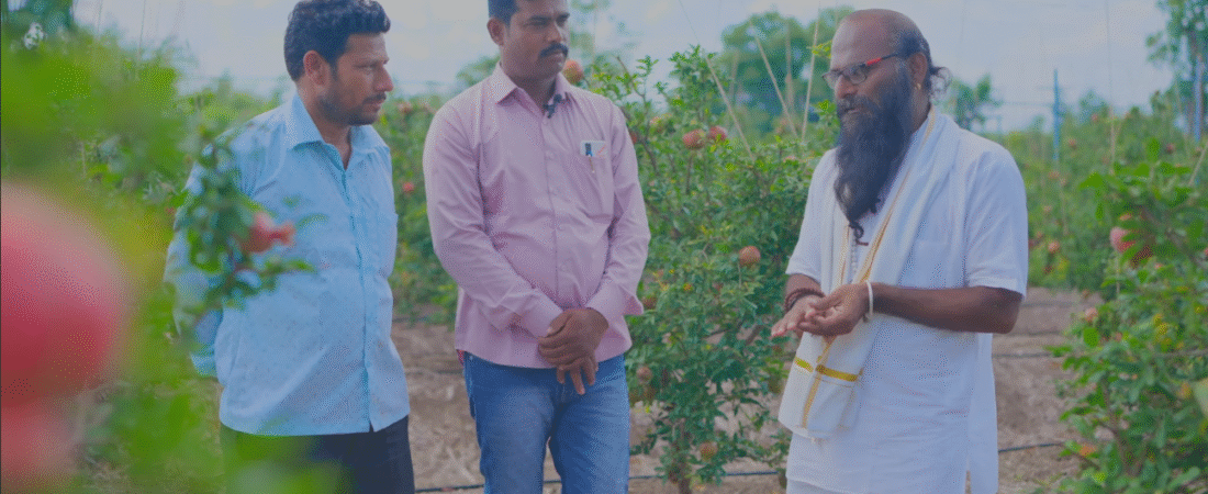 🌾 अशक्य जमिनीतला चमत्कार: पंचतत्त्व शेतीने दिला ९० फळांचा बहार!